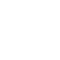instagramIco