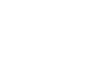 twitterIco